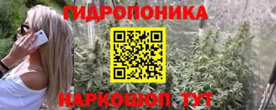 мдпв Шебекино
