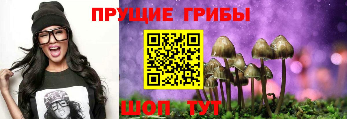 Псилоцибиновые грибы GOLDEN TEACHER  Вход с VPN  Галлюциногенные грибы прущие грибы  Ахтубинск 